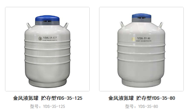 金凤液氮罐35L